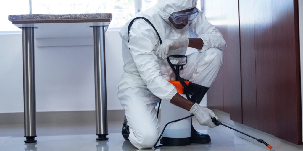 Man sprayuing pest removal chemicals in a home