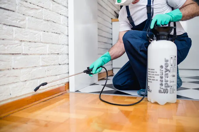 man spraying pest removal chemicals on a floor